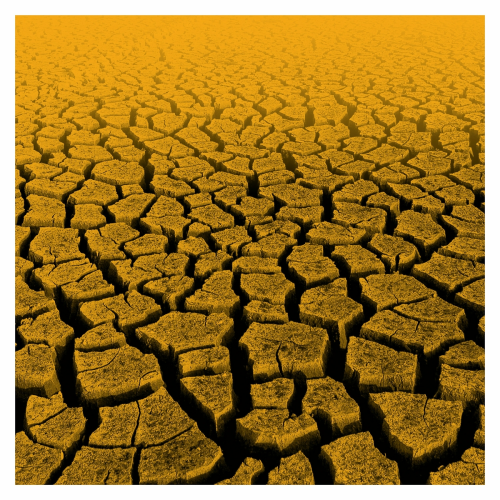 Warm Storm by Water From Your Eyes - imusic.am