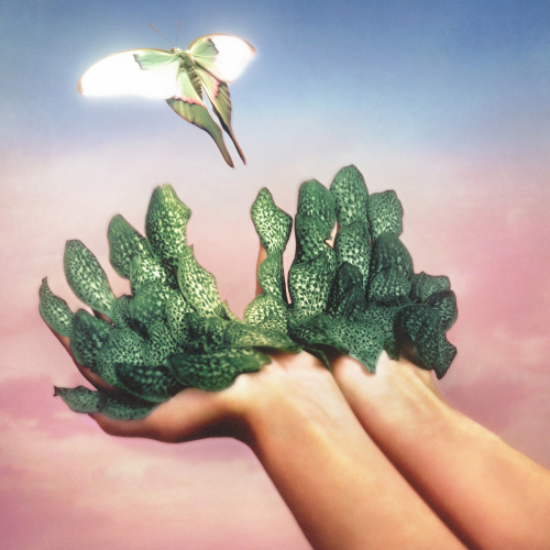 Pluto by Raveena - imusic.am