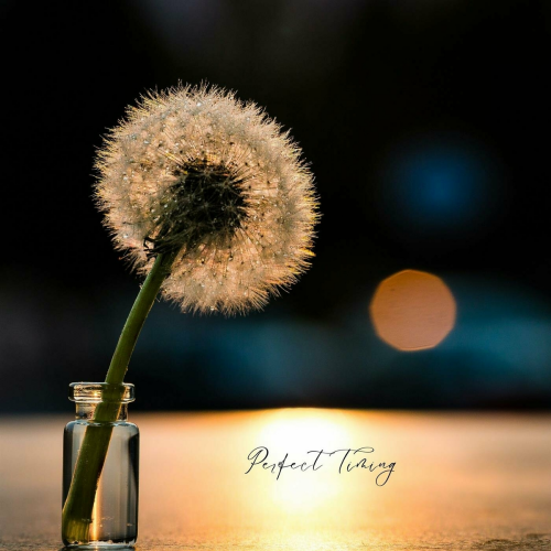 Perfect Timing by Maya Sarfatto - imusic.am