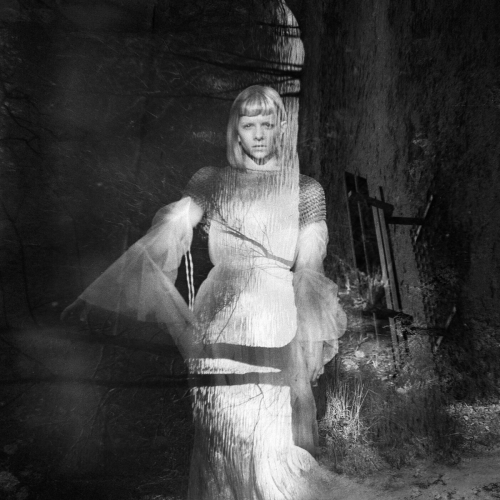 Animal Soul by AURORA - imusic.am