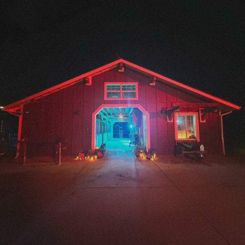 QPTP by Michelle Maciel, Yahritza Y Su Esencia - imusic.am