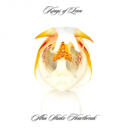 Aha Shake Heartbreak (Limited Edition) by Kings Of Leon - imusic.am