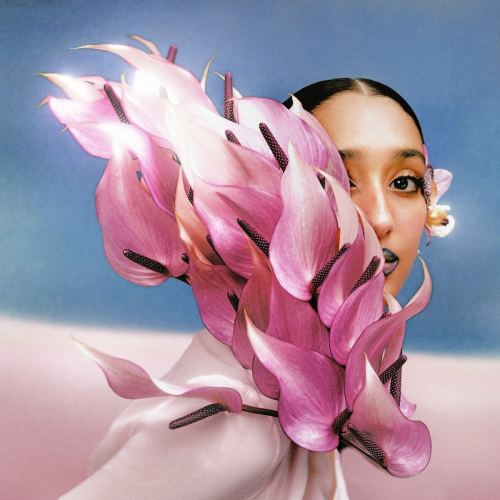 Where the Butterflies Go in the Rain by Raveena - imusic.am