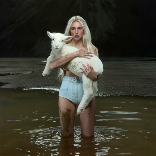 PALPITATIONS by Laurel - imusic.am