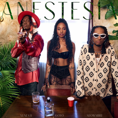 Anestesia by Venesti, Goyo, Slow Mike - imusic.am