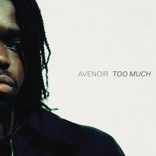 Too Much by AveNoir - imusic.am
