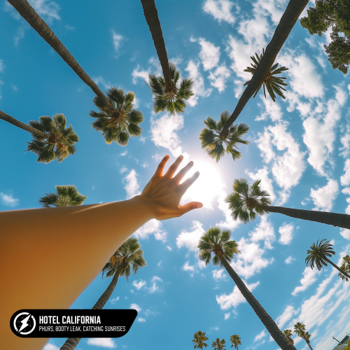 Hotel California by PHURS, BOOTY LEAK, Catching Sunrises - imusic.am