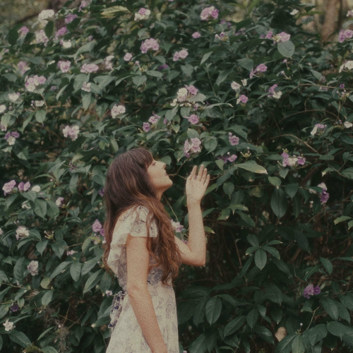 exposed by braveweather, We The Kings - imusic.am