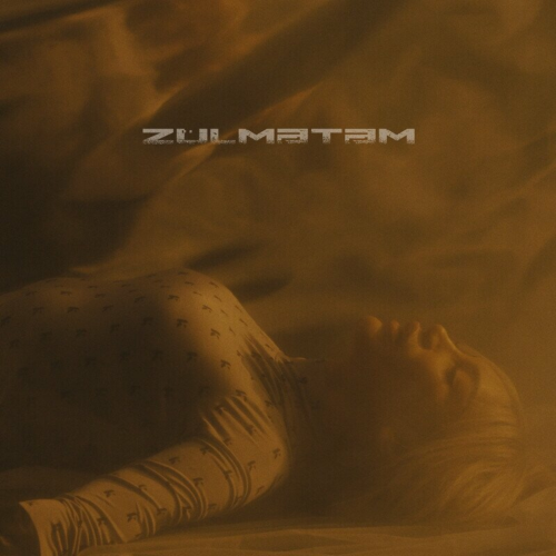Zülmətəm by Roya - imusic.am