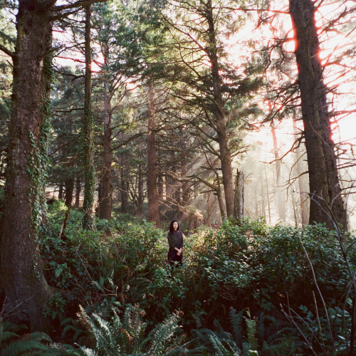 Seed of a Seed by Haley Heynderickx - imusic.am