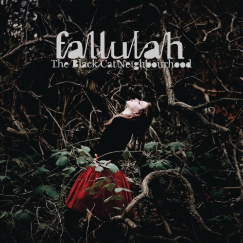 The Black Cat Neighbourhood by Fallulah - imusic.am