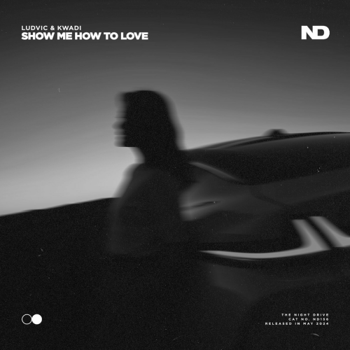 Show Me How To Love by LUDVIC, KWADI - imusic.am