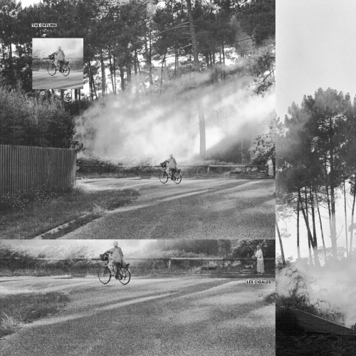 Les cigales by The Offline - imusic.am