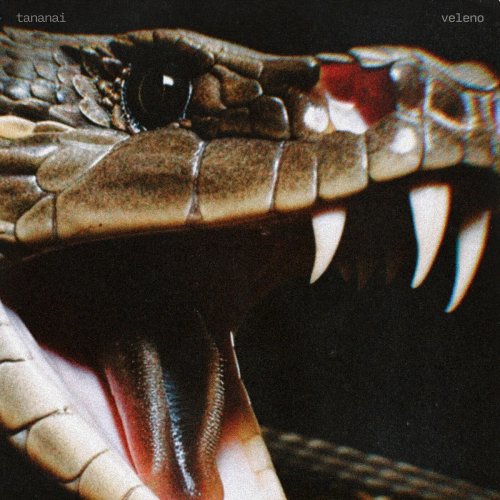 VELENO by Tananai - imusic.am