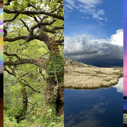 ʅ() ʅ()ʃ ꐑ(ఠీੂ೧ູȯ)vȯ)࿃ूੂ✧⃛✧⃛) ():::() ̴̤̚ by ⣎⡇ꉺლ༽இ•̛)ྀ◞ ༎ຶ ༽ৣৢ؞ৢ؞ؖ ꉺლ - imusic.am