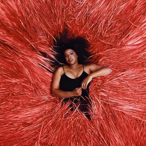 Wildflowers by Nao - imusic.am