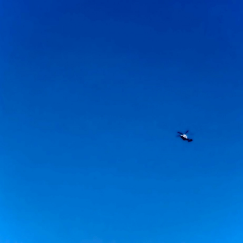 For My Head by Mr Eazi, Mugeez, D Jay - imusic.am