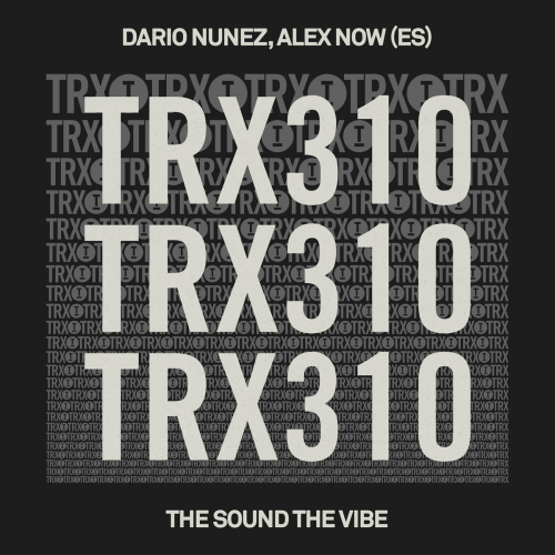 The Sound The Vibe by Dario Nuñez, Alex Now (ES) - imusic.am