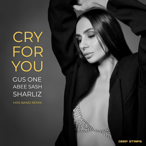 Cry for You by Abee Sash, Gus One, Sharliz - imusic.am