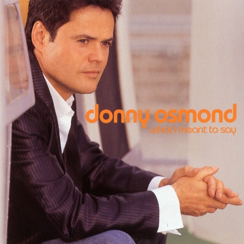 What I Meant To Say by Donny Osmond - imusic.am