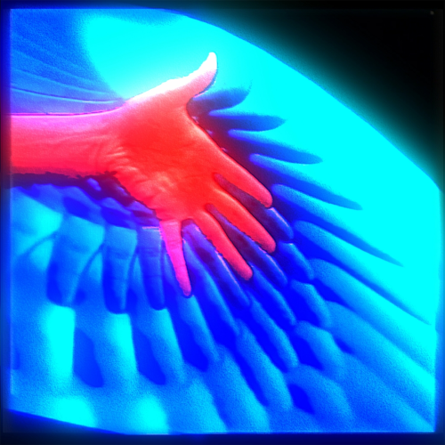 Bloodlines by Franc Moody - imusic.am