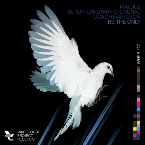 Be The Only by Malugi, Interplanetary Criminal, Coach Harrison - imusic.am