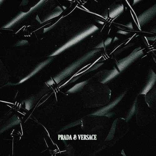 PRADA & VERSACE by Chris Grey - imusic.am
