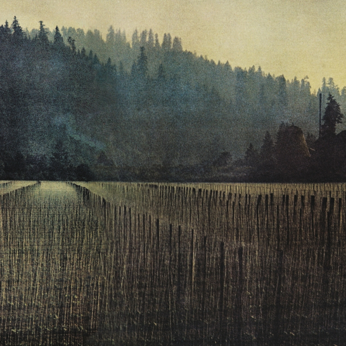 Inside Out by Beach Fossils - imusic.am