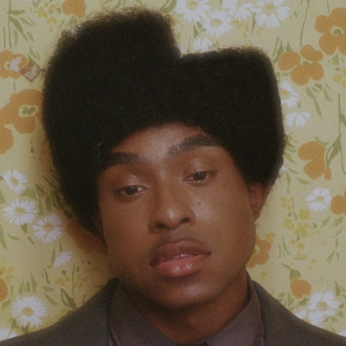 NEVER WANNA LET YOU GO by Bren Joy - imusic.am