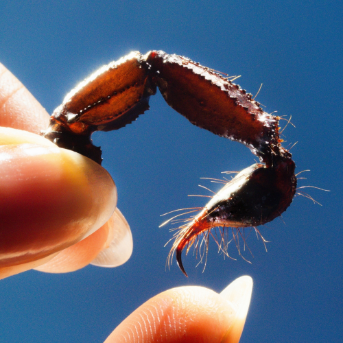 Building 650 by Squid - imusic.am