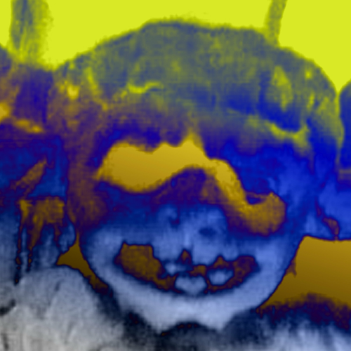 in someone else's garden by puurvuur - imusic.am