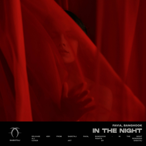 In the Night by FAVIA, Banghook - imusic.am