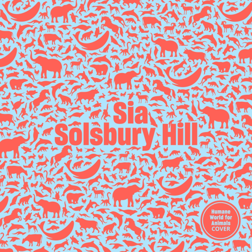 Solsbury Hill (Humane World for Animals Cover) by Sia - imusic.am