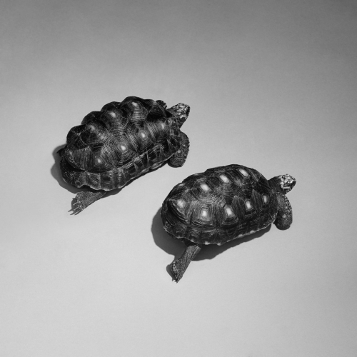 Love Is A Stillness by Sam Smith - imusic.am