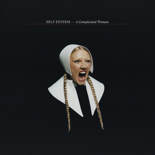 69 by Self Esteem - imusic.am