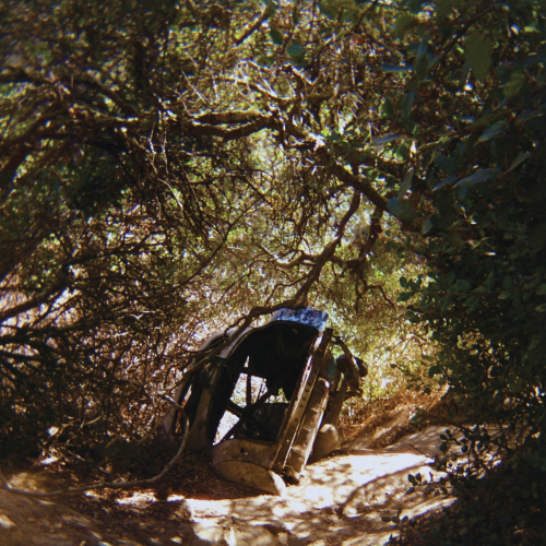 Fantastic Tomb by Ty Segall - imusic.am