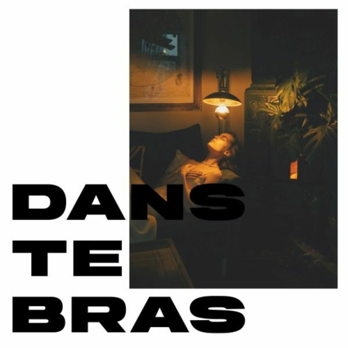 Dans Te Bras by Alain Rine, Paul Metra - imusic.am