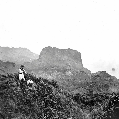 Deslocado by Napa - imusic.am