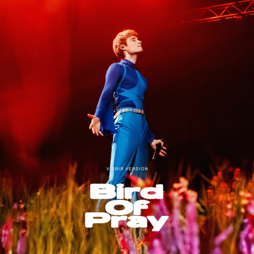 Bird of Pray (Vidbir 2025) by Ziferblat - imusic.am