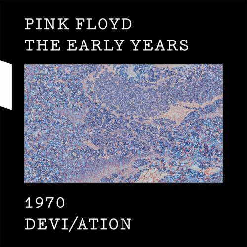 1970 Devi/ation by Pink Floyd - imusic.am