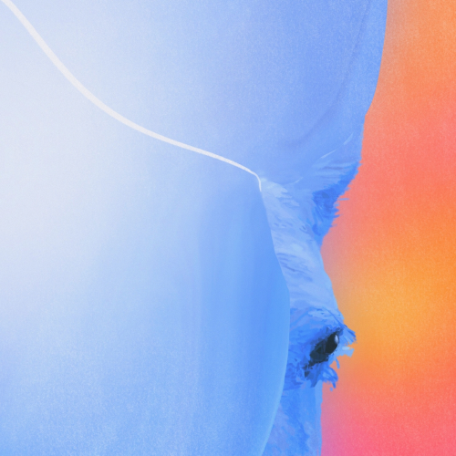 Let Go by Naarly, Jordan Whitlock, Thabza De Soul - imusic.am