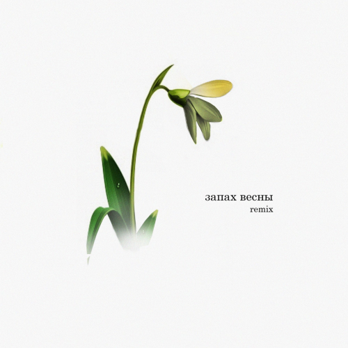 Запах весны (Remix) by Alex Sed, Darom Dabro - imusic.am