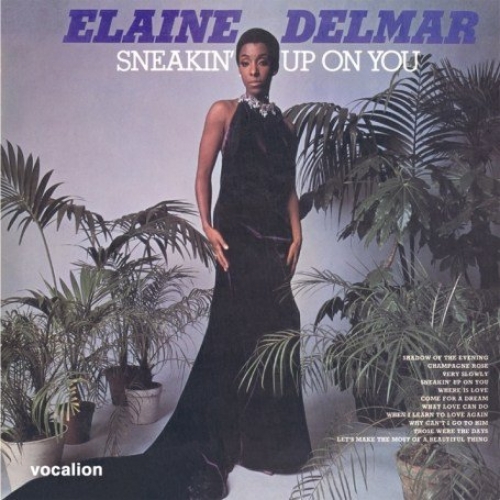 Sneakin Up On You by Elaine Delmar - imusic.am