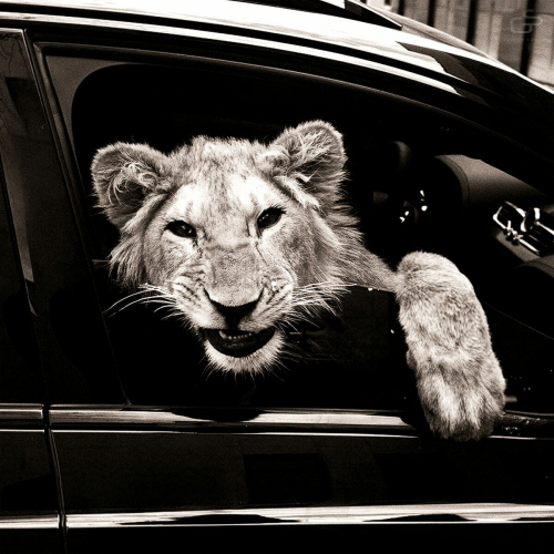 Спокойной ночи by MACAN, Kiliana - imusic.am