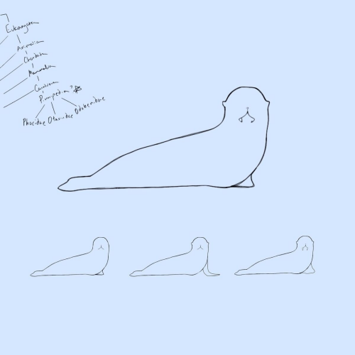 Water Dogs by Penelope Scott - imusic.am