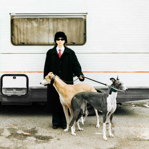 Marco by Fluente - imusic.am