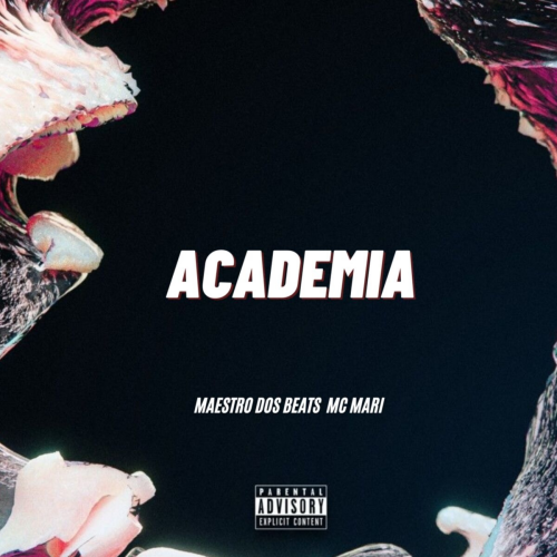 Academia by Maestro Dos Beats, Mc Mari, Forró Hits, Hits do Brasil - imusic.am