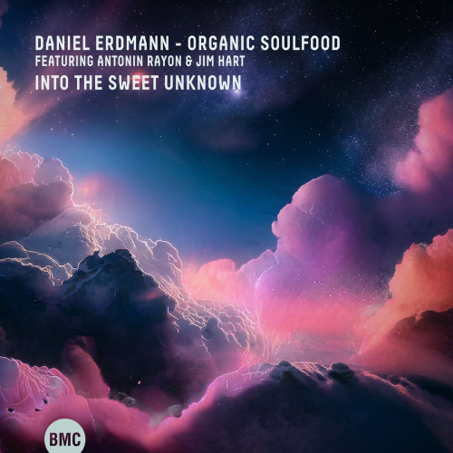 Into the Sweet Unknown by Daniel Erdmann, Organic Soulfood, Jim Hart, Antonin Rayon - imusic.am