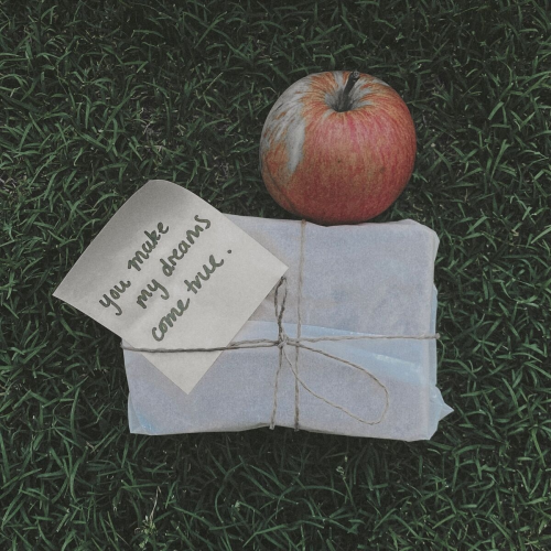 You Make My Dreams Come True by Riley Pearce, Gabrielle Aplin - imusic.am