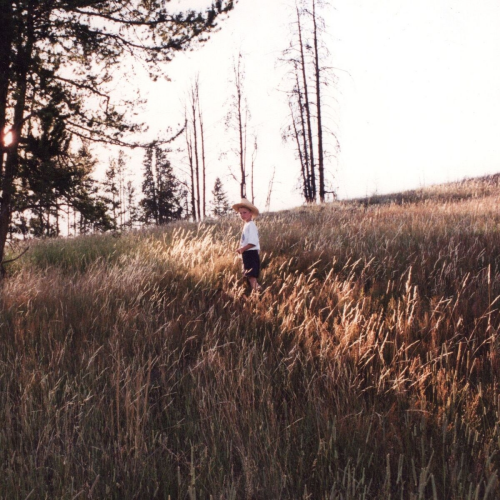 Red Moon by Tom Misch - imusic.am